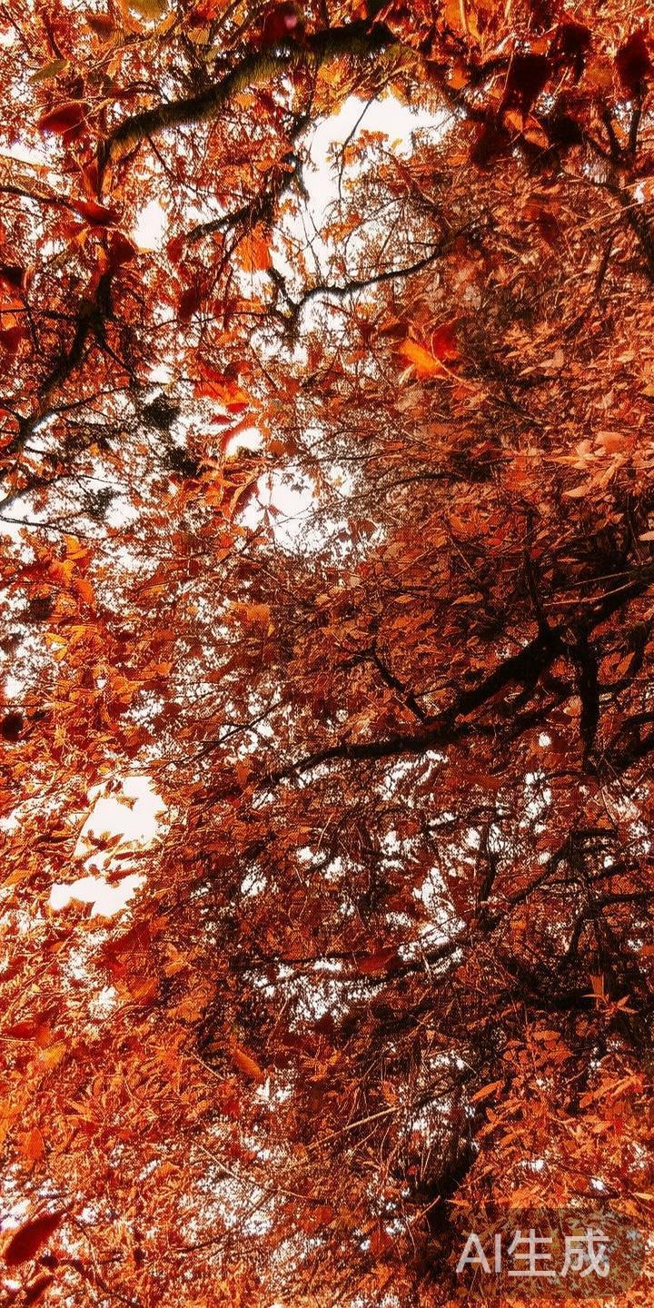 2024年完美体育软件下载入口全攻略：便捷快速登录体育娱乐平台指南